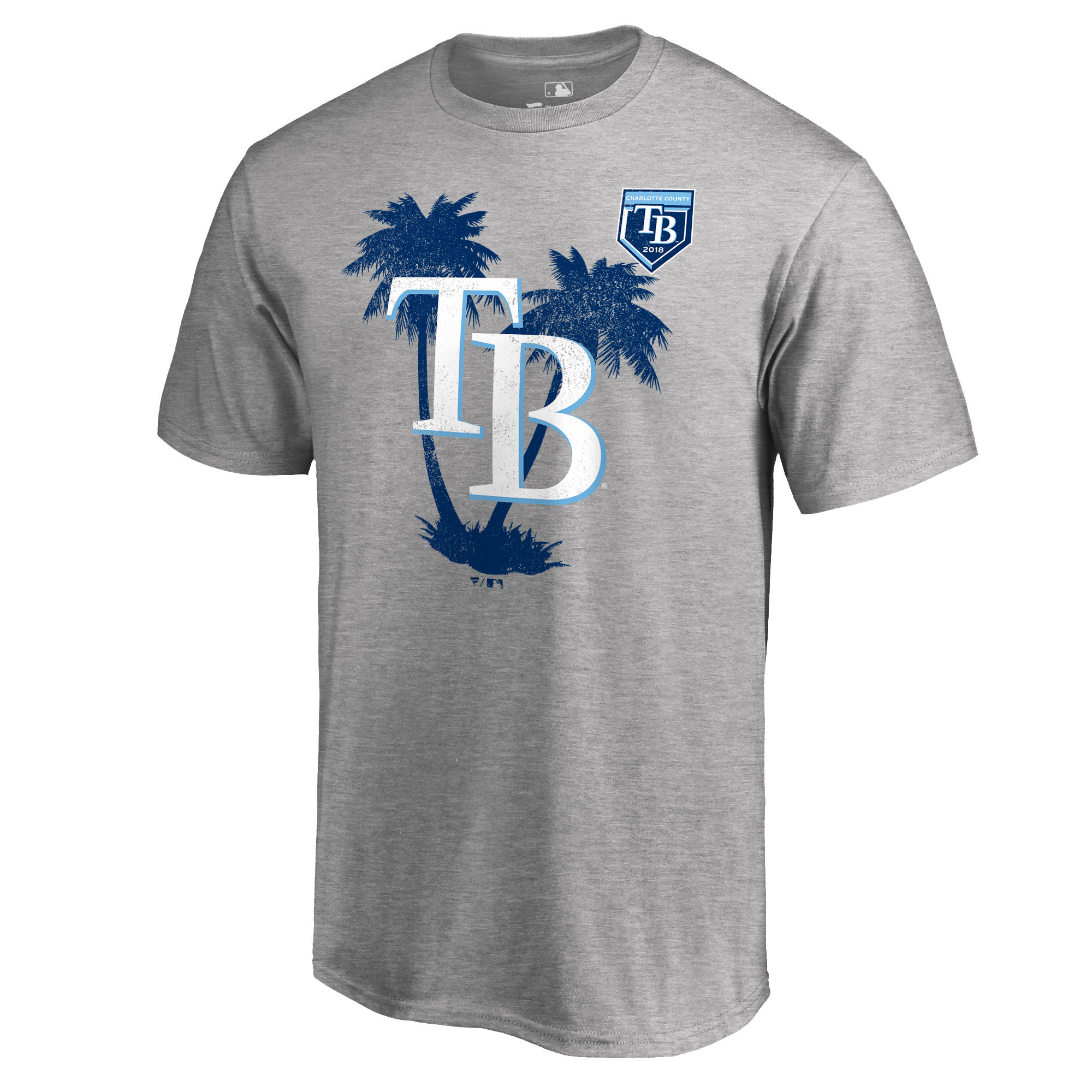 Men's Tampa Bay Rays Fanatics Branded 2018 MLB Spring Training Vintage T-Shirt – Heather Gray